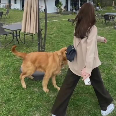 反贪局长